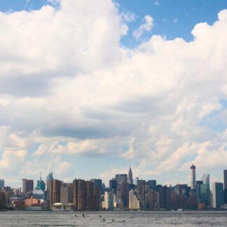 Camiseta Algodón Orgánico